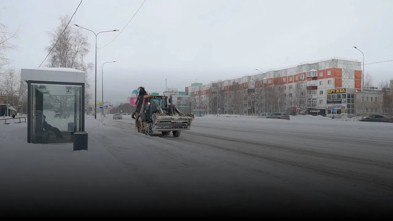 Снежный плен