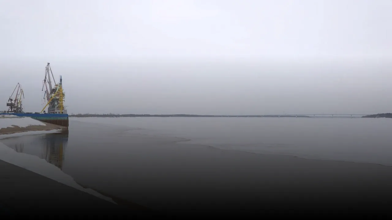 «...Гремит плавучих льдин резня» 