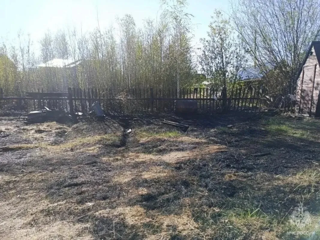 В дачном поселке Нижневартовска из-за окурка сгорела трава на 200 «квадратах»