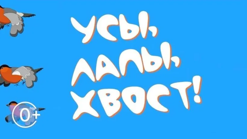 Усы. Лапы. Хвост: салон красоты для животных