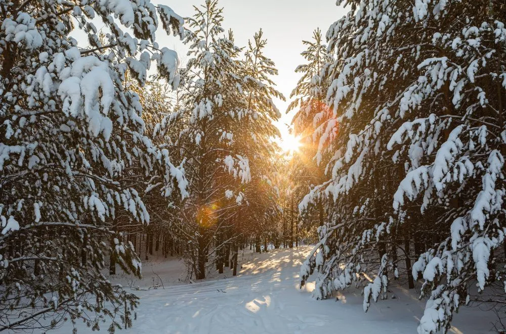 Сургутский район стал частью национального турмаршрута «Месторождение Югра»