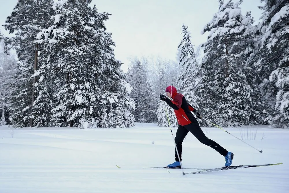 Концепцию развития лыжного спорта реализуют в Сургутском районе