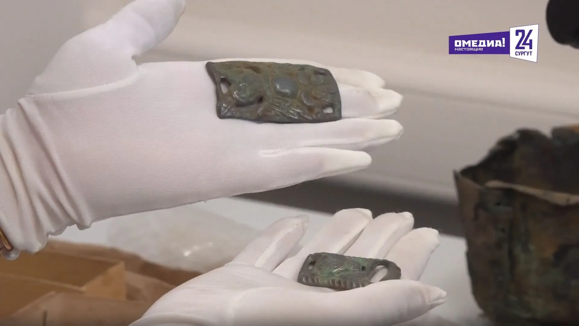 Музей "Барсова гора" пополнился тысячами артефактов 