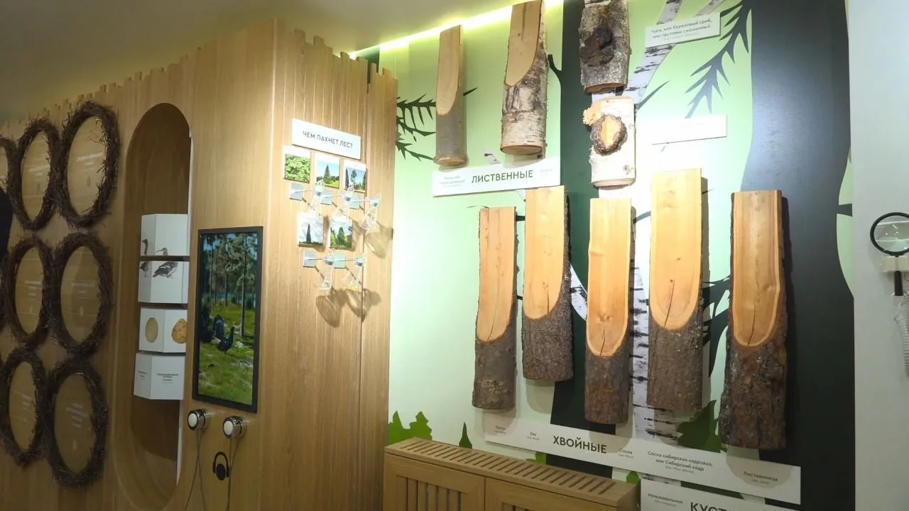 Запах и звуки тайги: в «Старом Сургуте» открылась интерактивная выставка