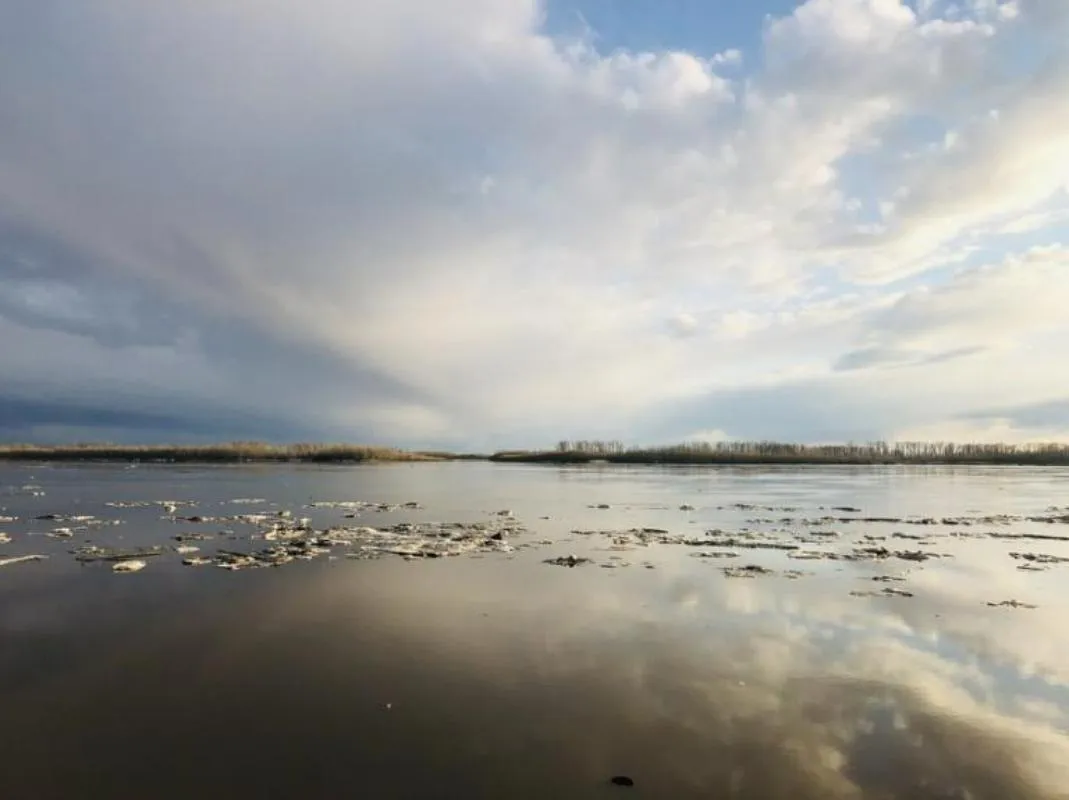 Обь у Нижневартовска продолжает подниматься: за сутки уровень воды вырос на пять сантиметров