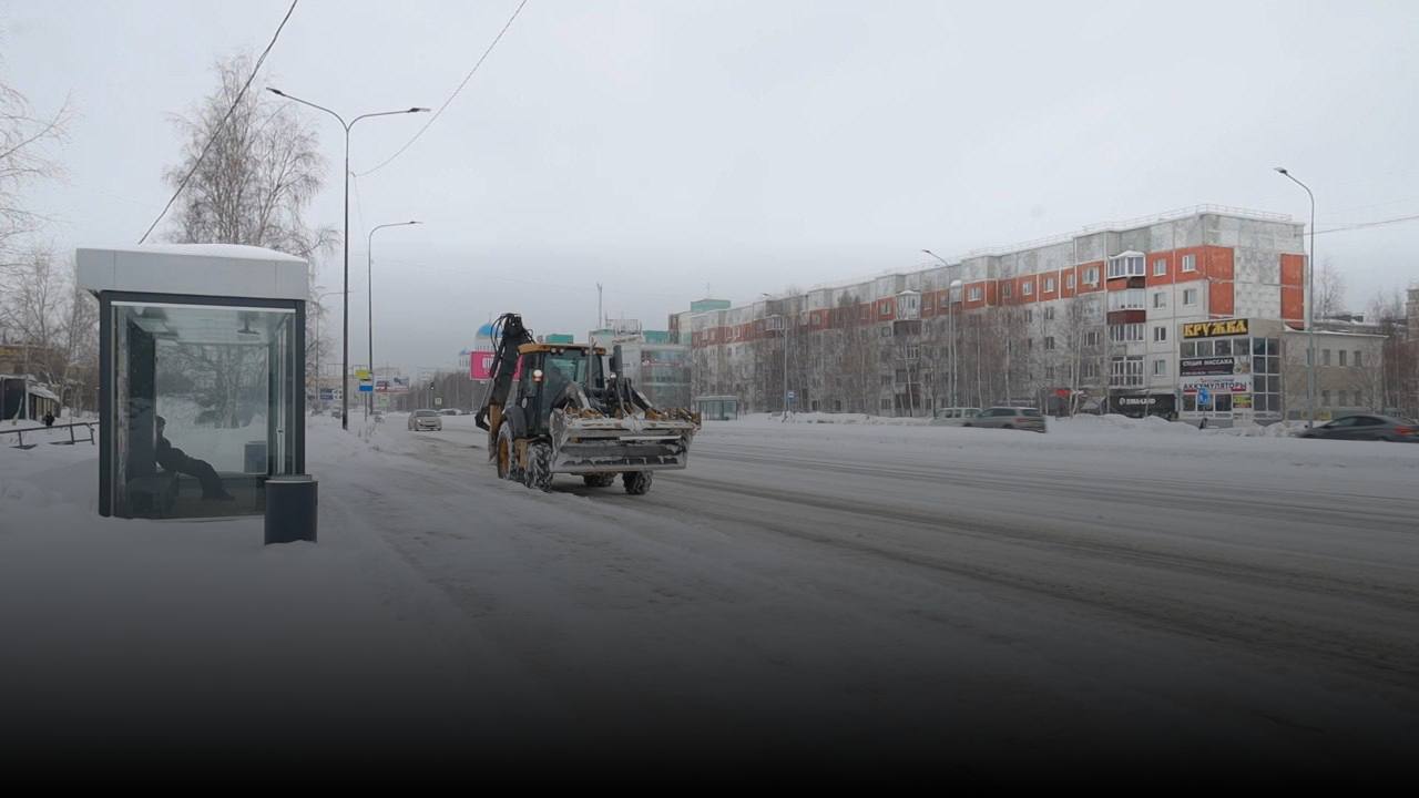 Снежный плен