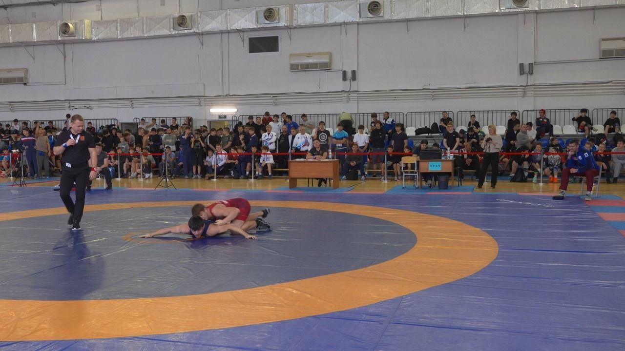 В Сургуте состоялись Всероссийские соревнования по греко-римской борьбе «Звёзды Севера»