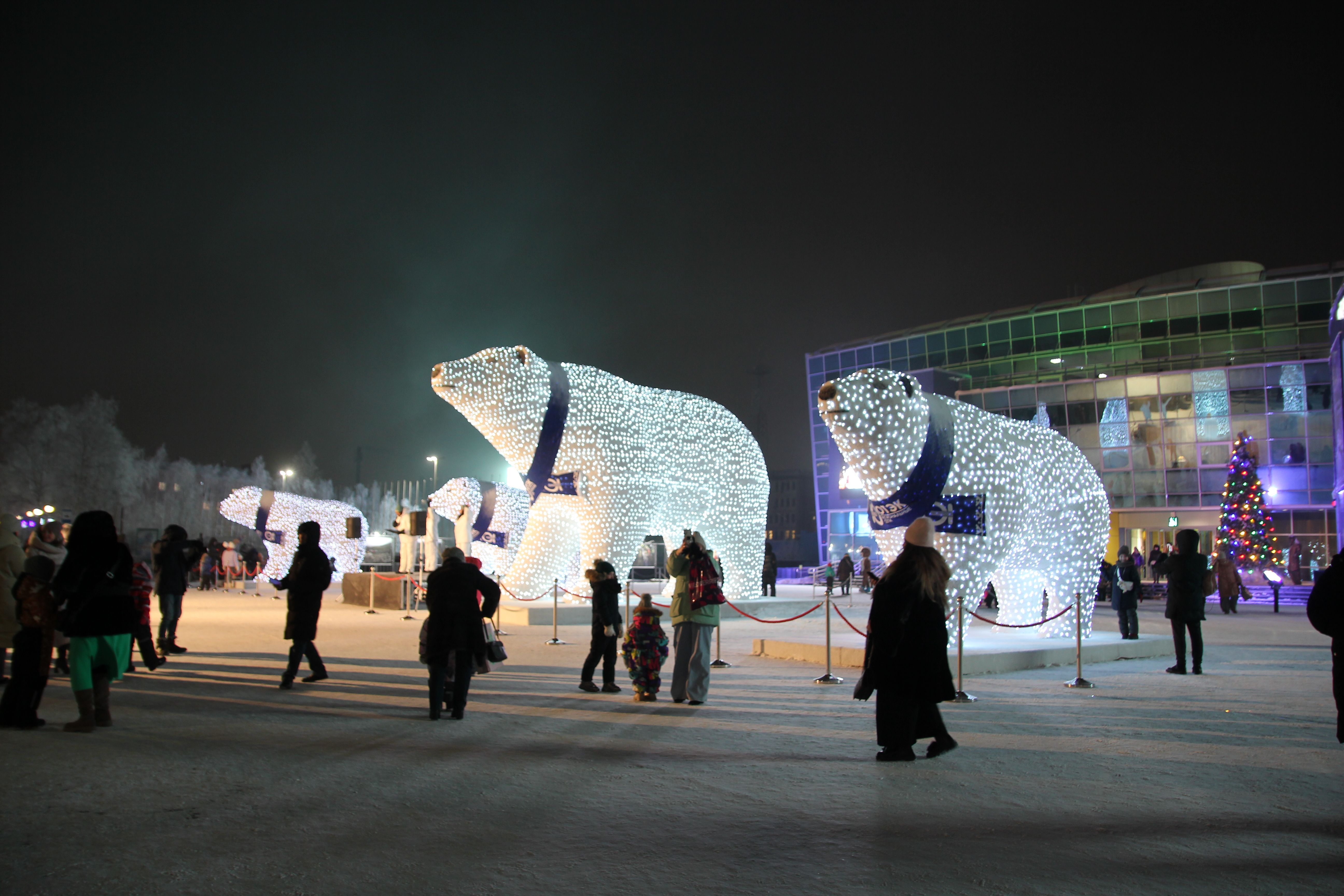 В Ханты-Мансийск привезли белых медведей