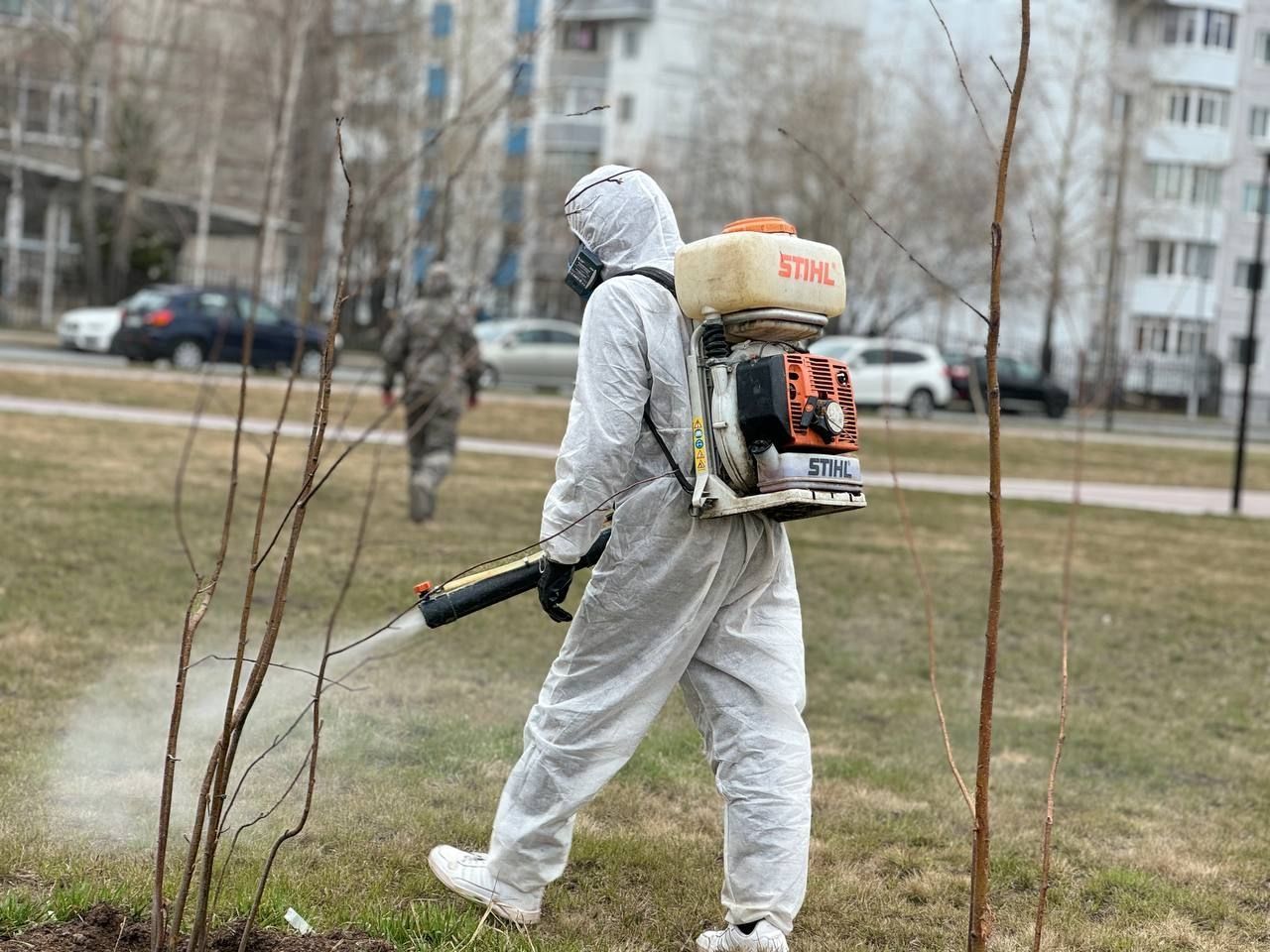 В Сургуте с 12 мая начнут обрабатывать от клещей парки, скверы и кладбища