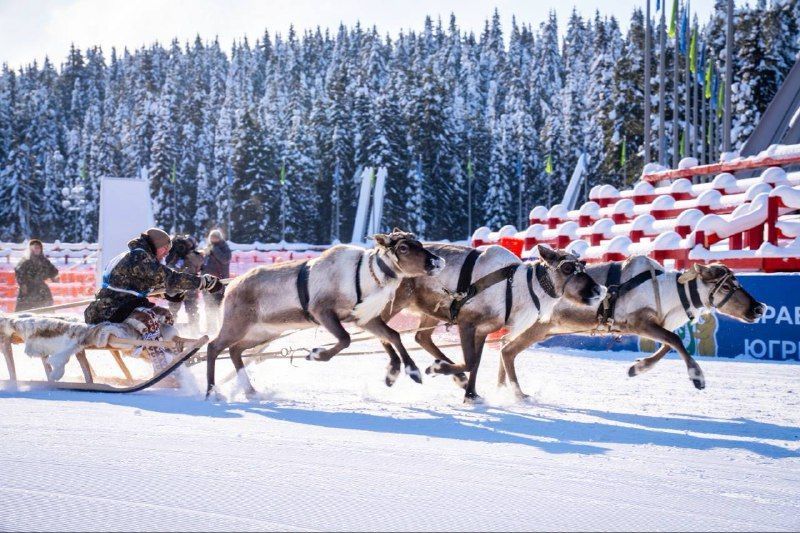 Ханты-Мансийск вновь стал центром притяжения для лучших оленеводов региона