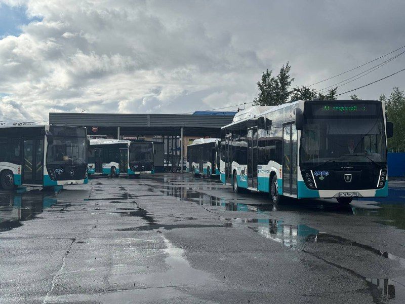 Как в Сургуте будет развиваться общественный транспорт