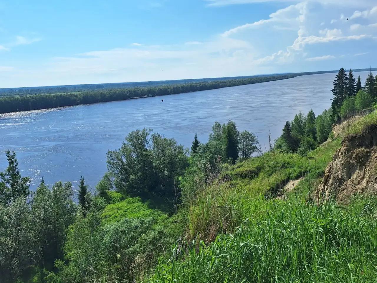Специалисты следят за температурой воды в Иртыше и уровнем растворенного кислорода