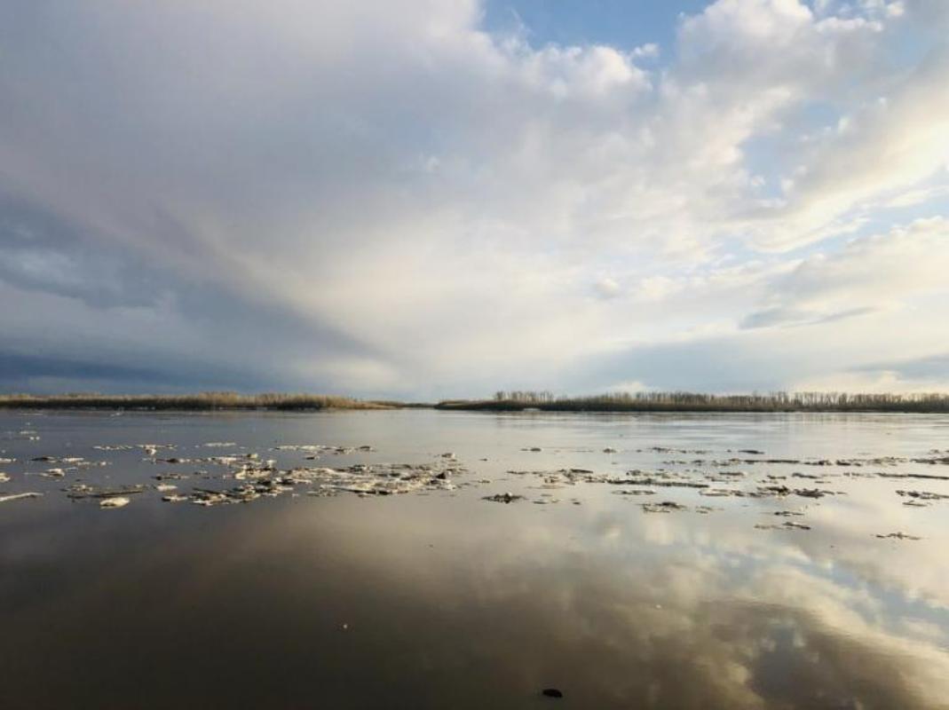 Обь у Нижневартовска продолжает подниматься: за сутки уровень воды вырос на пять сантиметров