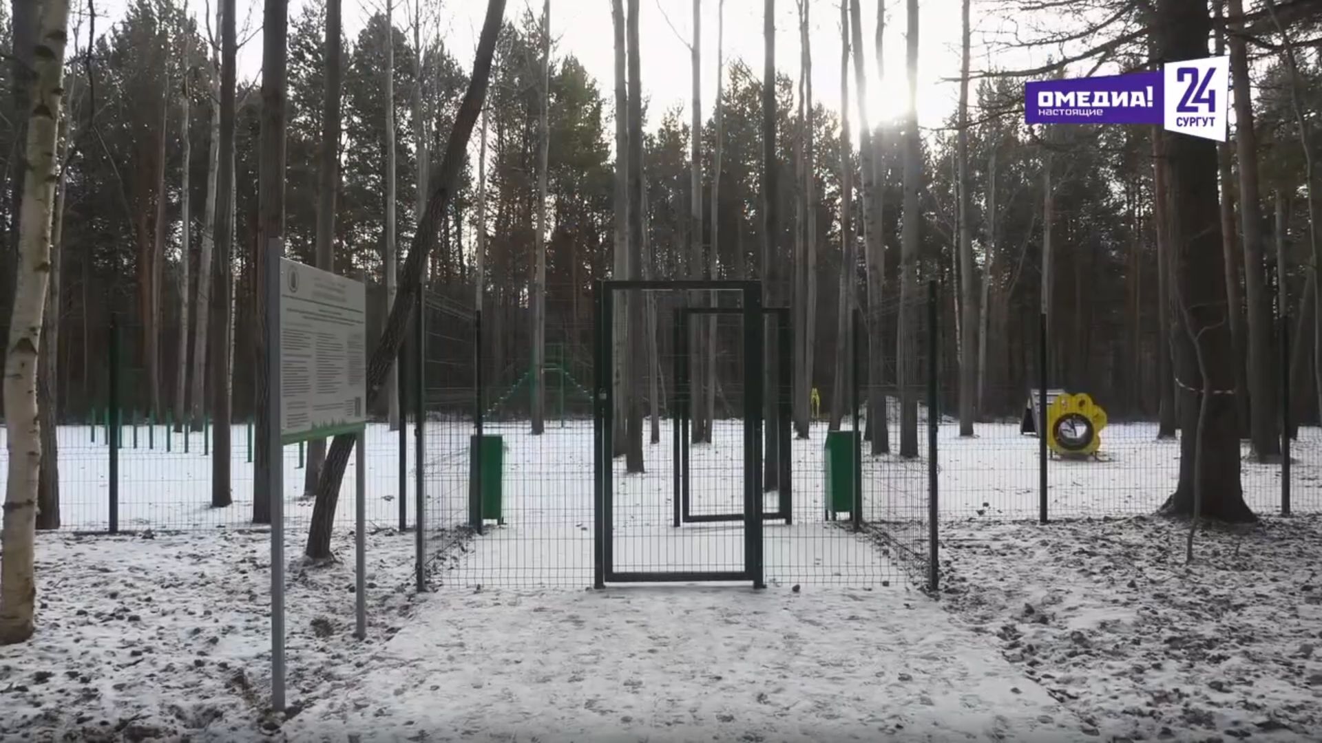 ГОСТ на проектирование территорий для собак вступил в силу в России