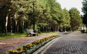 В Сургуте преобразят еще ряд зеленых зон. Где появится новый парк? 